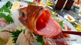 ツアー写真（2）