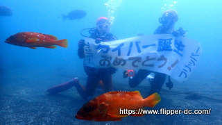 ツアー写真（1）