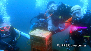 ツアー写真（1）
