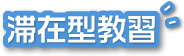 Foreigners' driving license training