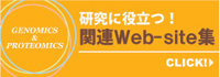 �֘AWeb-site�W
