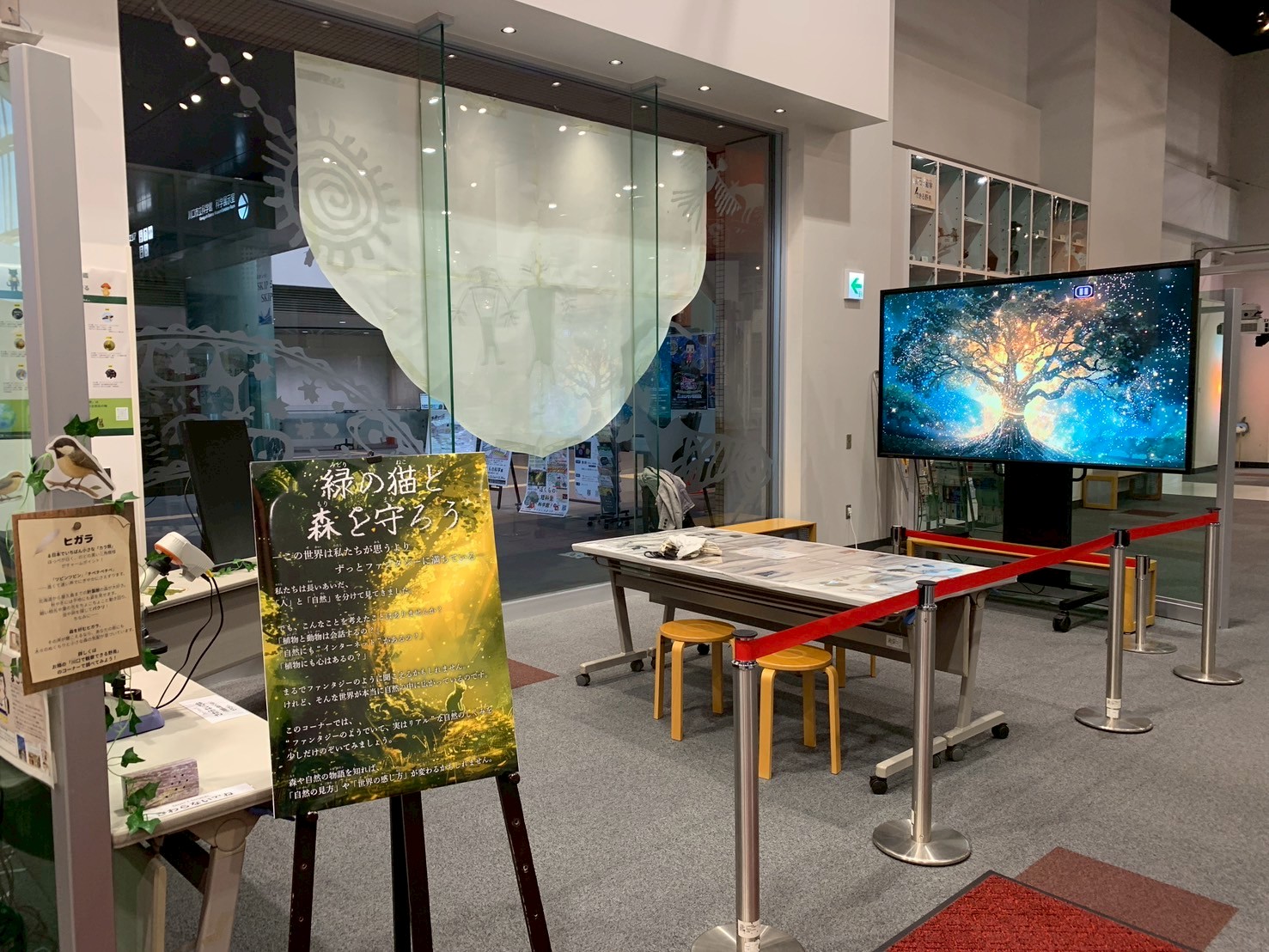 ぼくらの科学展の展示