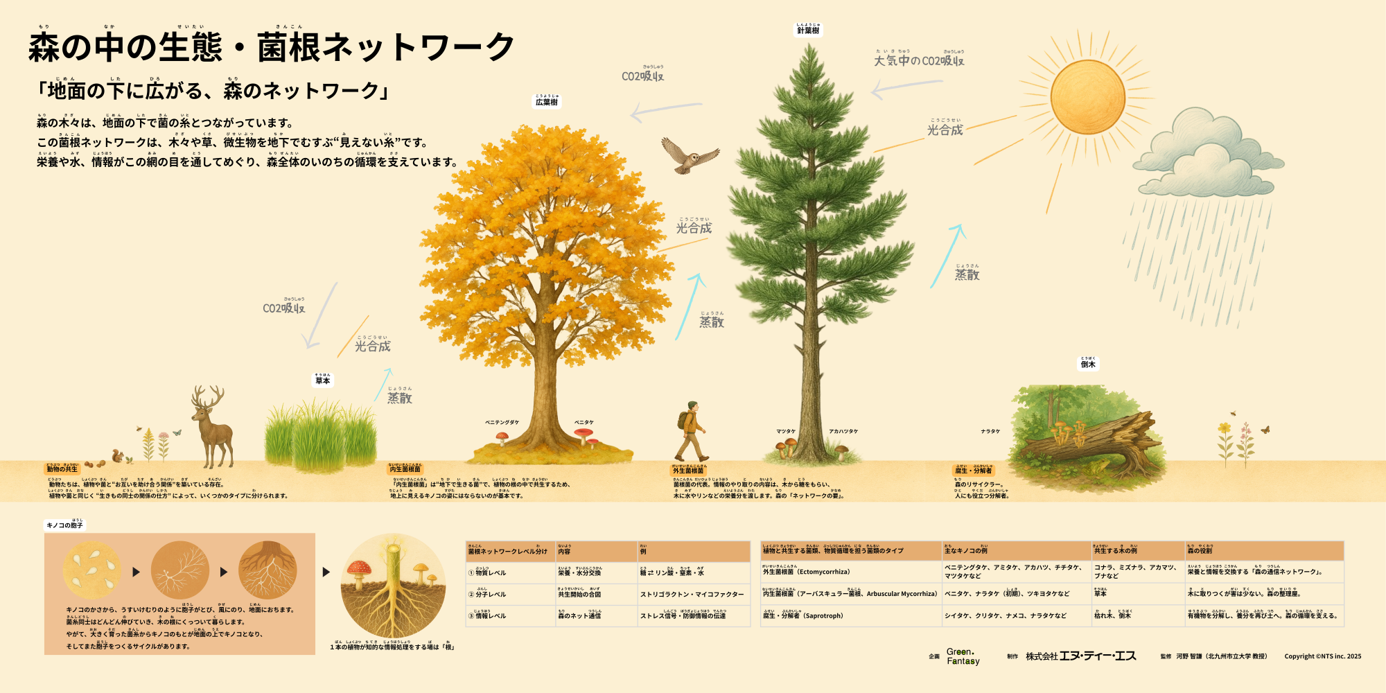 展示パネル